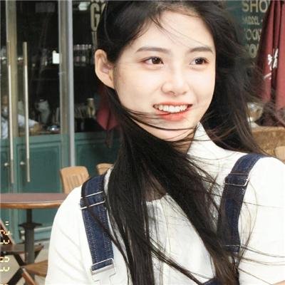 百日蔷薇